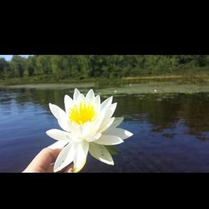 Meet your Posher, Rasha